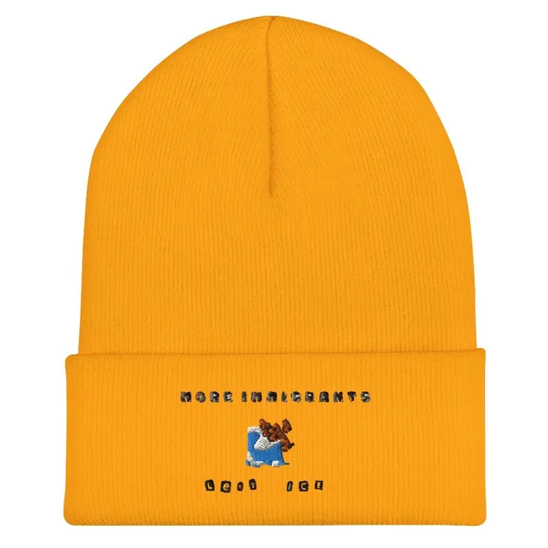 Less ICE beanie 